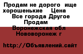 Продам не дорого ,ище хорошенькие  › Цена ­ 100 - Все города Другое » Продам   . Воронежская обл.,Нововоронеж г.